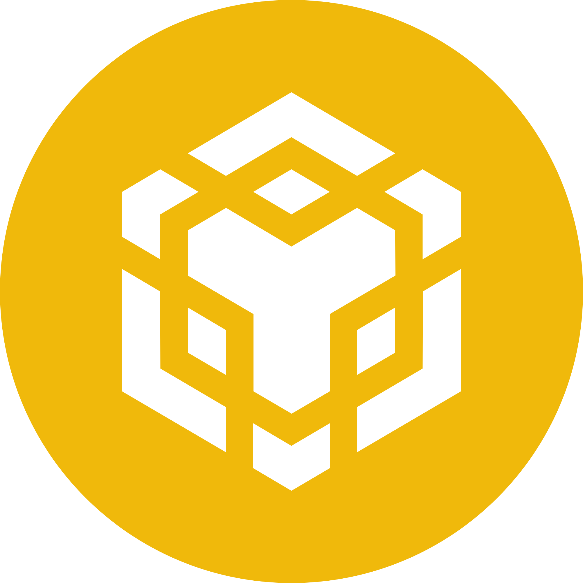 binance coin logo image